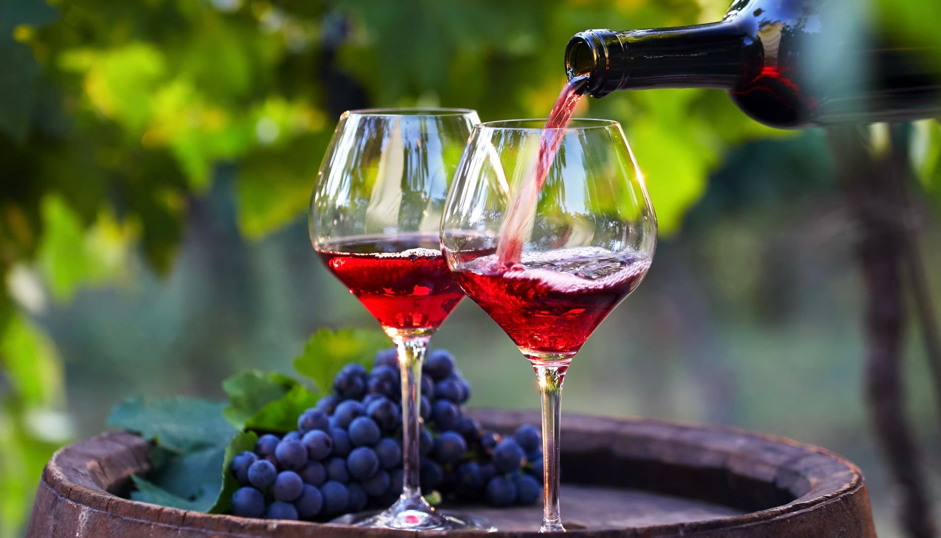 Wine Collection